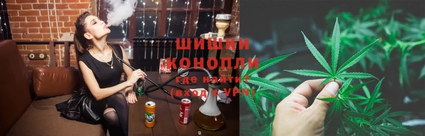 ECSTASY Богданович