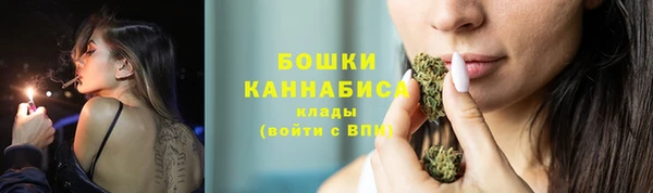 соль ск Богородицк