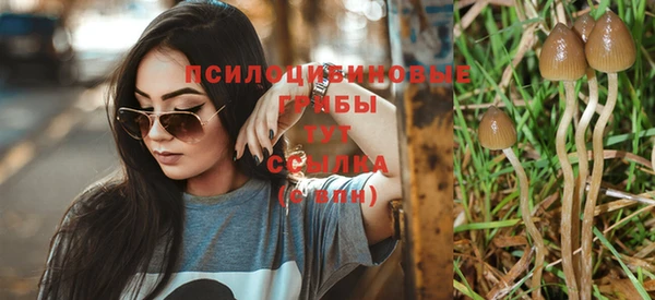 синтетический гашиш Белокуриха