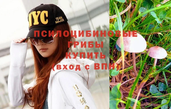 синтетический гашиш Белокуриха